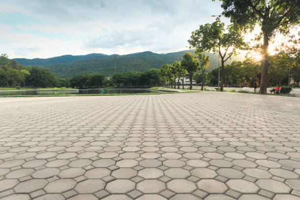 Best Local Driveway Pavers  in Anderson Creek, NC